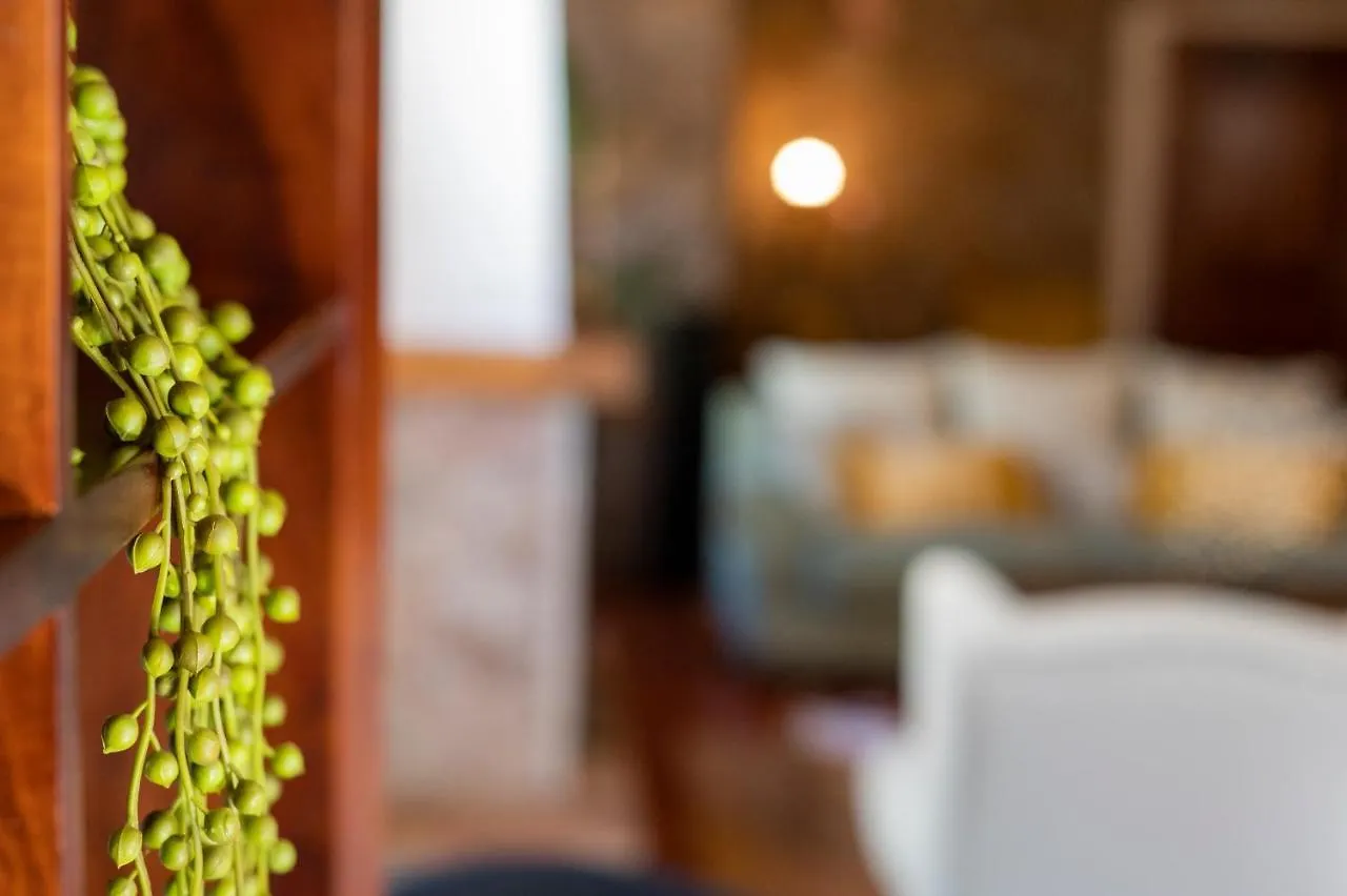 **  Hotel El Tejar & Spa Vilaflor Spain